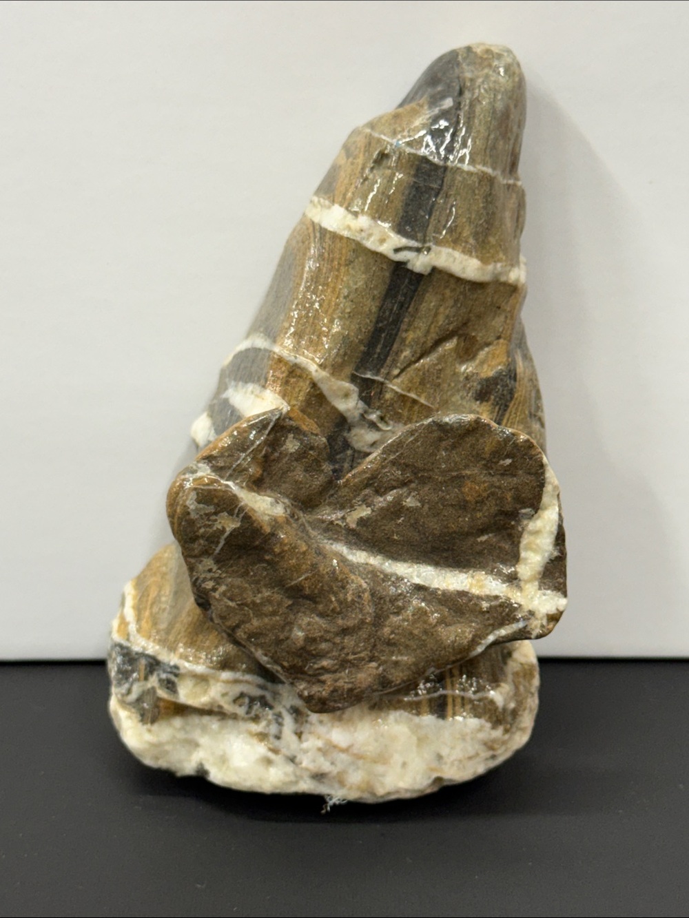 Natural Brown and White Decorative Stone with Heart Rock- Home Accents